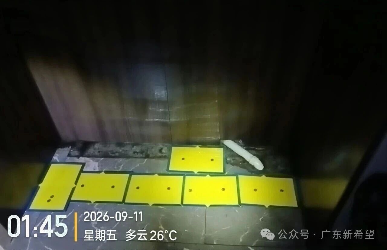 07