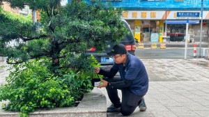 殺蟲多少錢一平方？蟲害防治多少錢一次？——2026年消殺報價與協會收費標準全解析